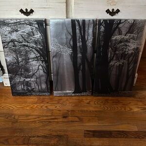 Black Forest pictures